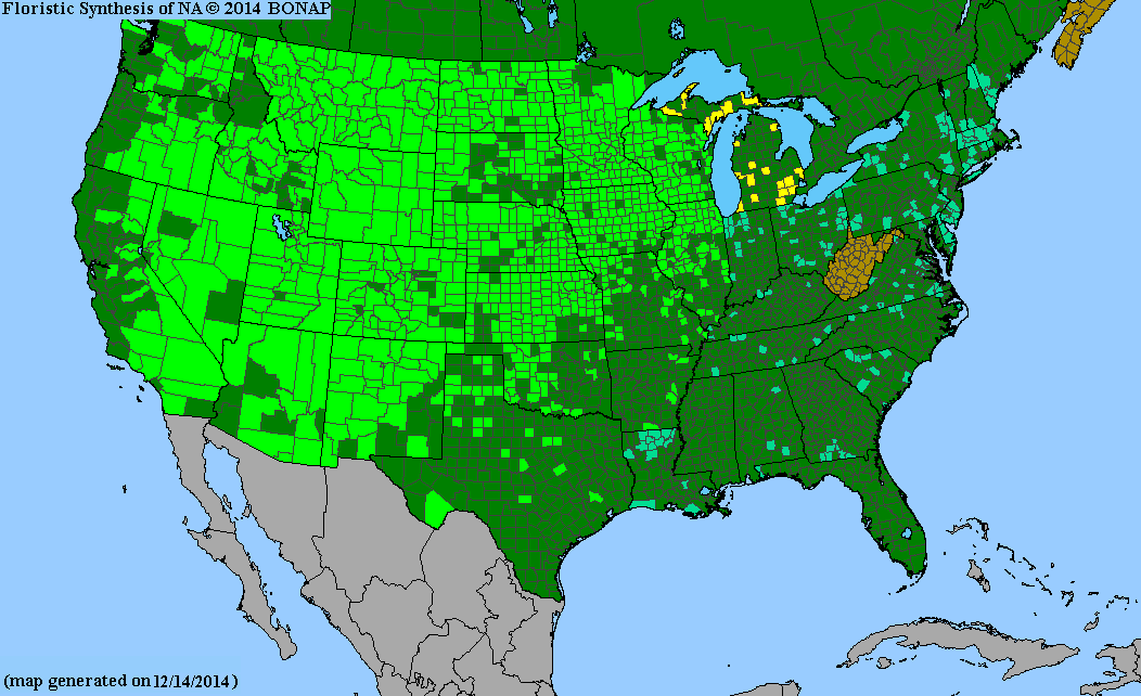 County distribution map of Artemisia ludoviciana ssp. ludoviciana - White Sagebrush